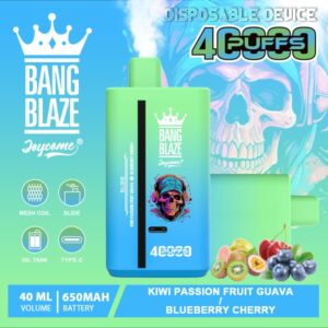 Bang Blaze 40000 Puffs Vape | 40ML Dual-Flavor , Type-C Recharge