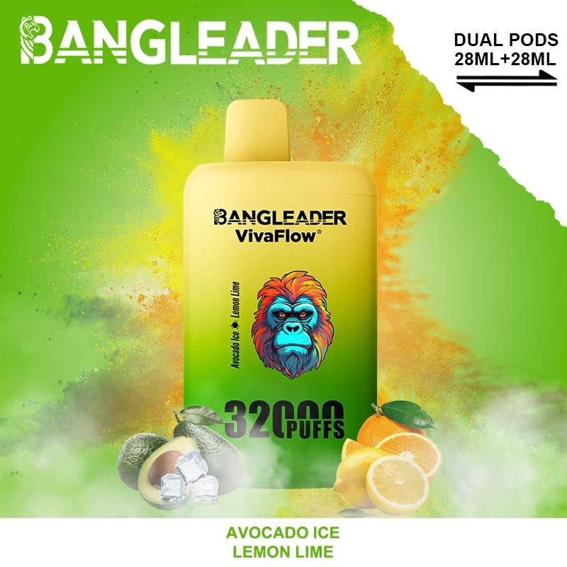 Bang Leader 32000 Puffs Disposable Vape – Nicotine 0%–5% - Image 16