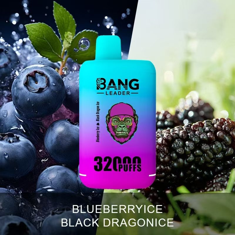 Bang Leader 32000 Puffs Disposable Vape – Nicotine 0%–5%