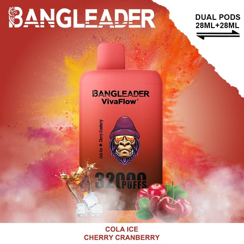 Bang Leader 32000 Puffs Disposable Vape – Nicotine 0%–5% - Image 13