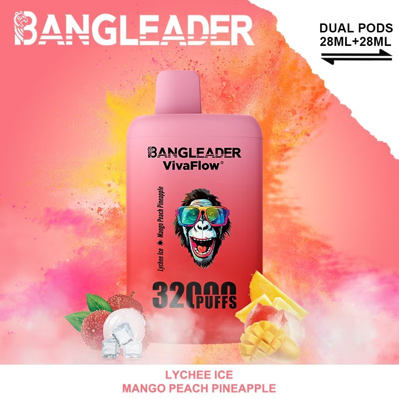 Bang Leader 32000 Puffs Disposable Vape – Nicotine 0%–5% - Image 17