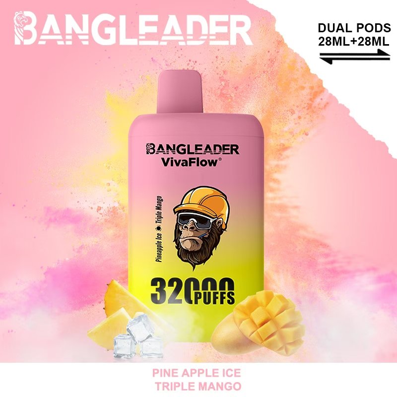Bang Leader 32000 Puffs Disposable Vape – Nicotine 0%–5% - Image 18