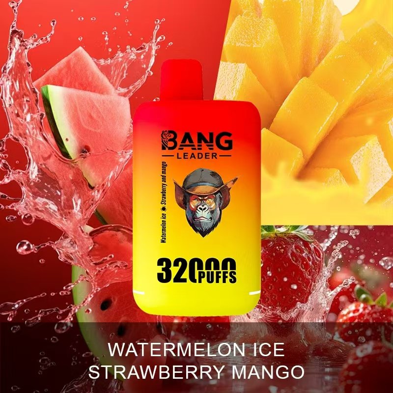 Bang Leader 32000 Puffs Disposable Vape – Nicotine 0%–5% - Image 7