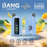 Bang Leader 50000 Puffs Vape Kit – Multiple Nicotine Strengths