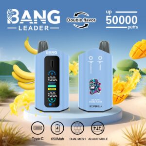 Bang Leader 50000 Puffs Vape Kit – Multiple Nicotine Strengths