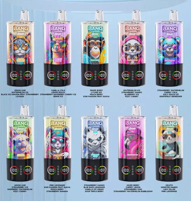 Bang Leader Stoll 100K 100000 Puffs 4 in 1 Flavors & LED Display Disposable Vape – Bild 2