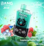Bang Leader Stoll 120K Disposable Vape – Dual Flavor