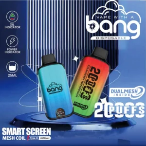 Bang 20000 Puffs LED Display Disposable Vape