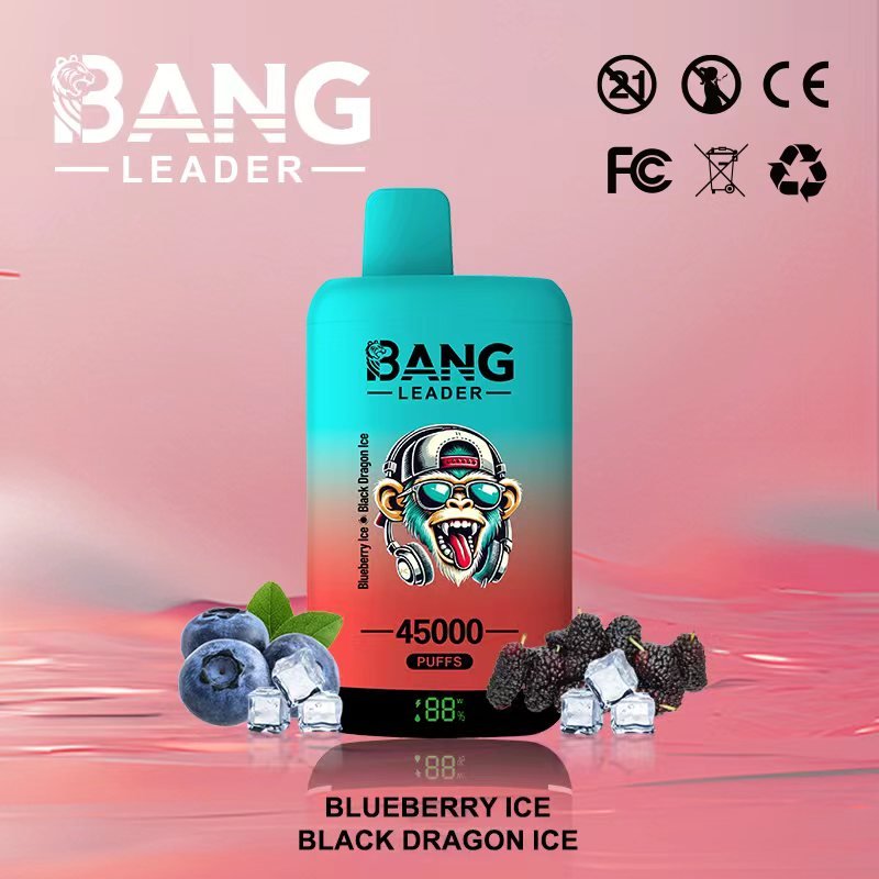Bang Leader 45000 Puffs Dual-Chamber Disposable Device – Type-C Rechargeable - Image 12