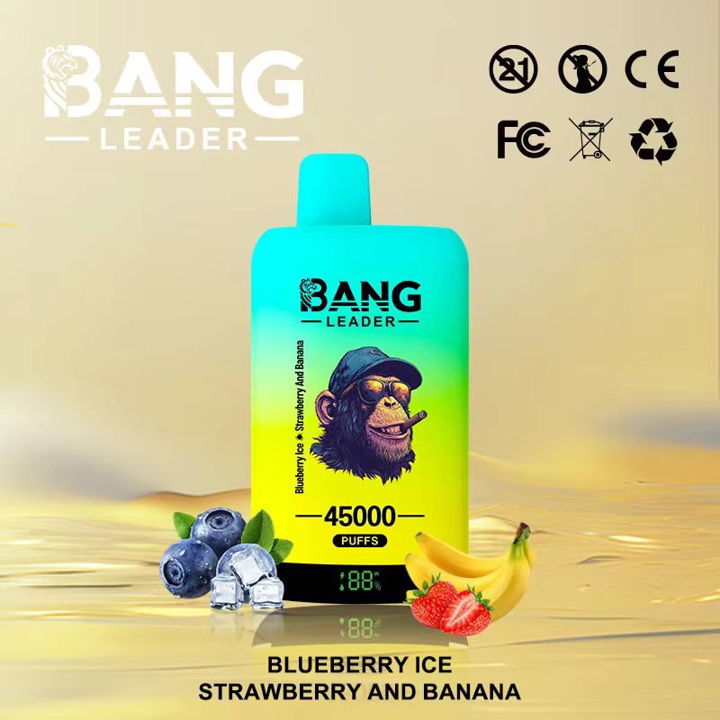Bang Leader 45000 Puffs Dual-Chamber Disposable Device – Type-C Rechargeable - Image 11