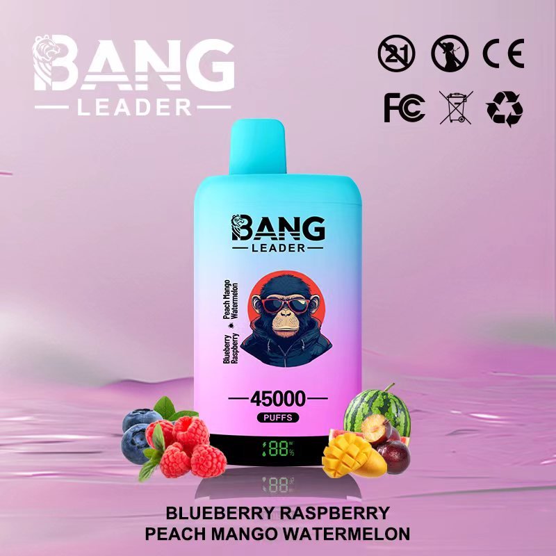 Bang Leader 45000 Puffs Dual-Chamber Disposable Device – Type-C Rechargeable - Image 10