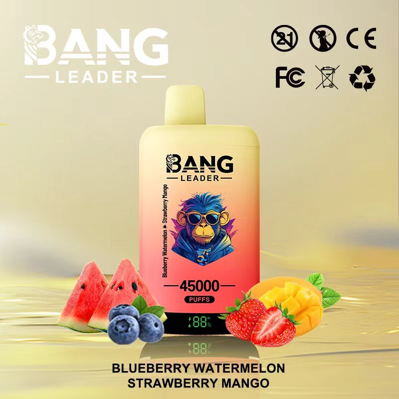 Bang Leader 45000 Puffs Dual-Chamber Disposable Device – Type-C Rechargeable - Image 9