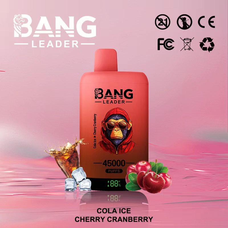 Bang Leader 45000 Puffs Dual-Chamber Disposable Device – Type-C Rechargeable - Image 8
