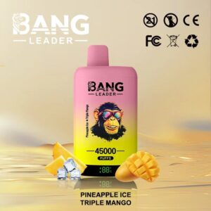 Bang Leader 45000 Puffs Dual-Chamber Disposable Device – Type-C Rechargeable