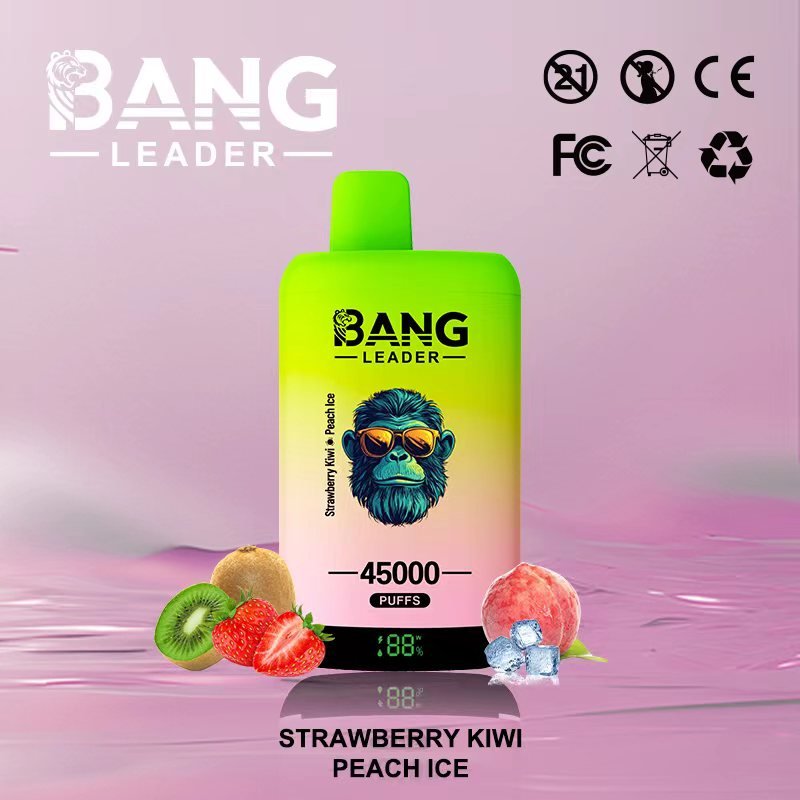Bang Leader 45000 Puffs Dual-Chamber Disposable Device – Type-C Rechargeable - Image 5