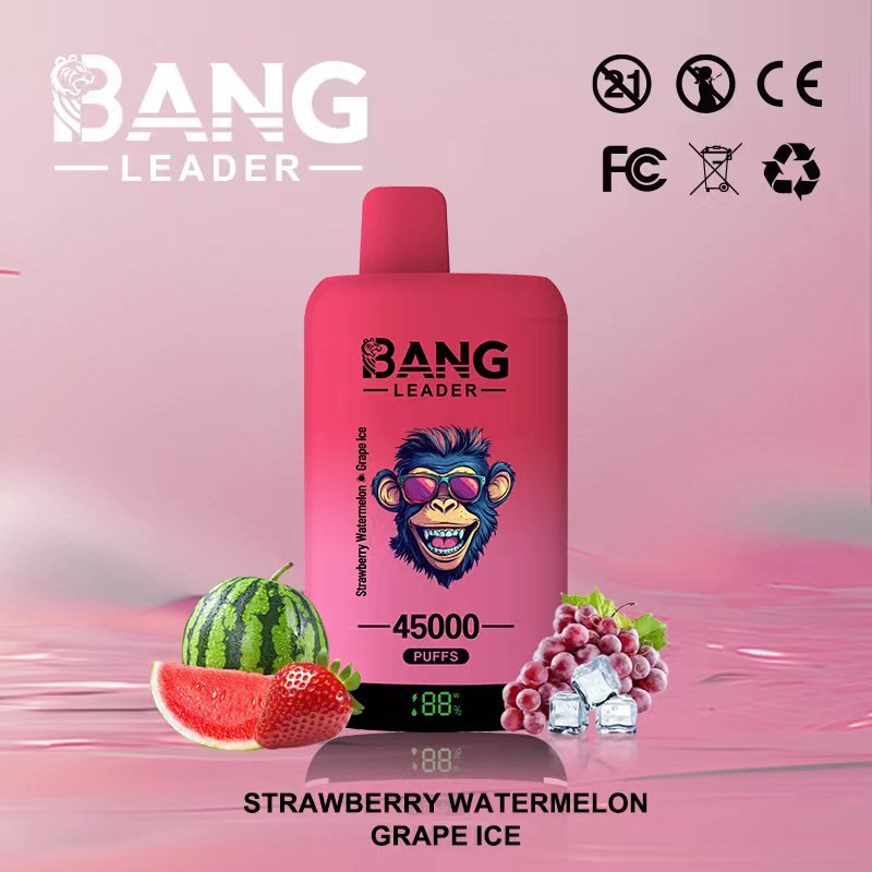 Bang Leader 45000 Puffs Dual-Chamber Disposable Device – Type-C Rechargeable - Image 4