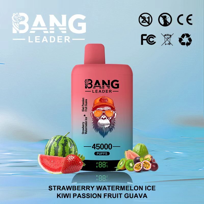 Bang Leader 45000 Puffs Dual-Chamber Disposable Device – Type-C Rechargeable - Image 2