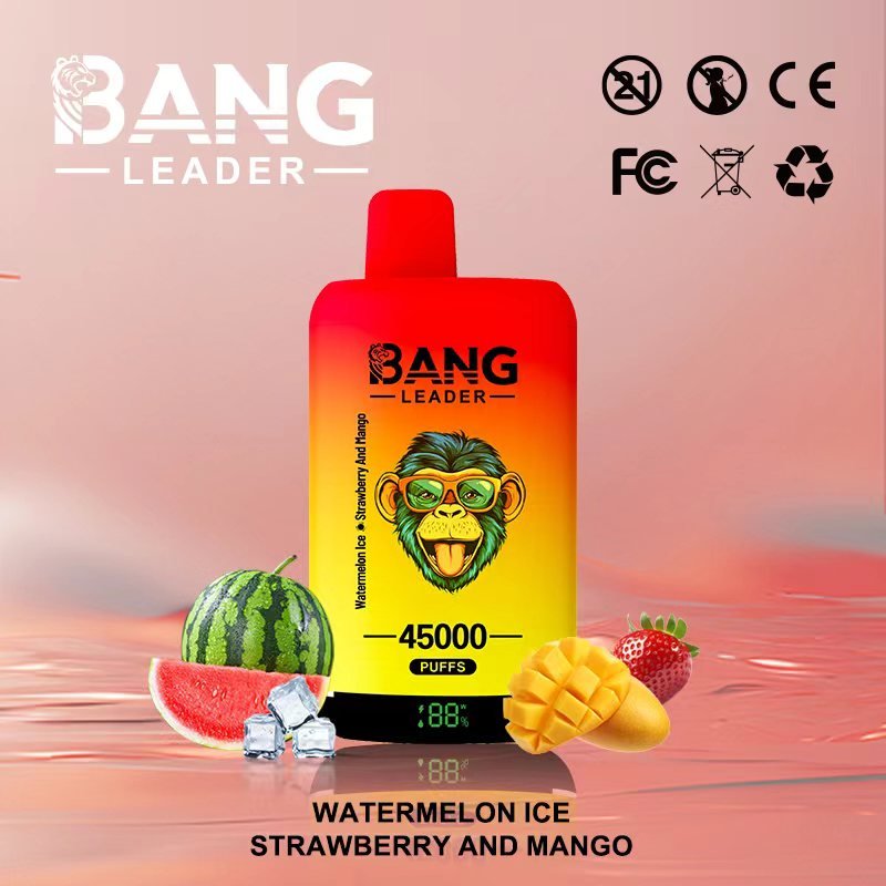 Bang Leader 45000 Puffs Dual-Chamber Disposable Device – Type-C Rechargeable - Image 3