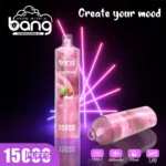 Bang SHISHA 15000 bouffées Vape jetable