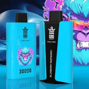 Bang King 30000 Pro Disposable Vape - 30K Puffs Dual Mesh Beast