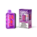 40k Puffs VOZOL RAVE Strawberry Kiwi Flavor LED | Rechargeable Vape