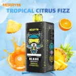 Appareil de vapotage jetable Merry Mi Blade Puffs