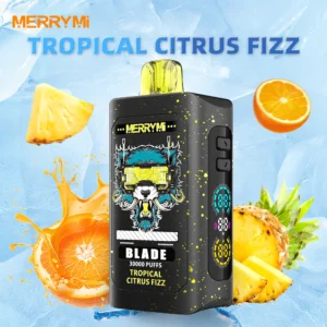 Appareil de vapotage jetable Merry Mi Blade Puffs
