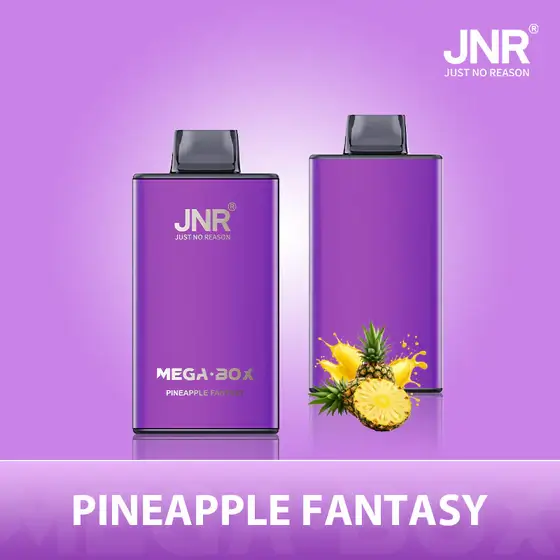 JNR Mega Box 25000 Puffs Disposable Vape - Pineapple Fantasny