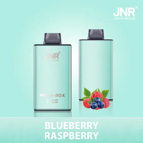 JNR Mega Box 25000 Puffs Disposable Vape - Buleberry Raspberry